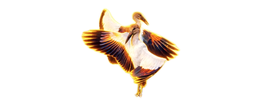 Aura Farming Storks
